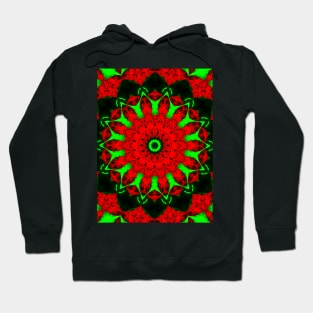 Stylized red flower on a green background. Hoodie